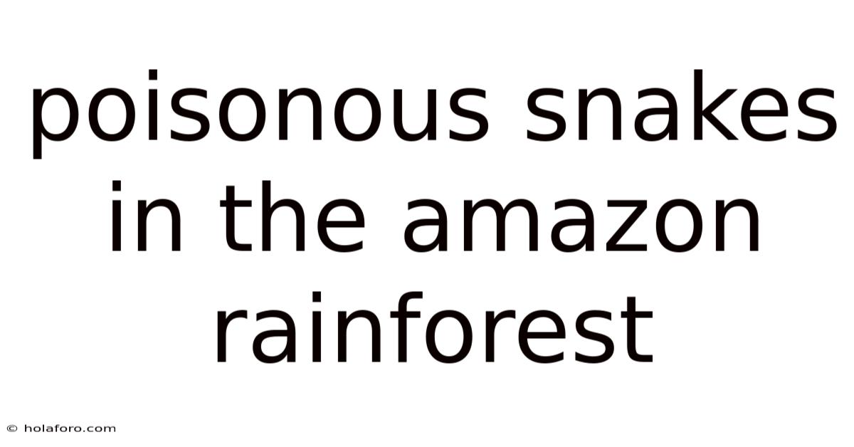 Poisonous Snakes In The Amazon Rainforest