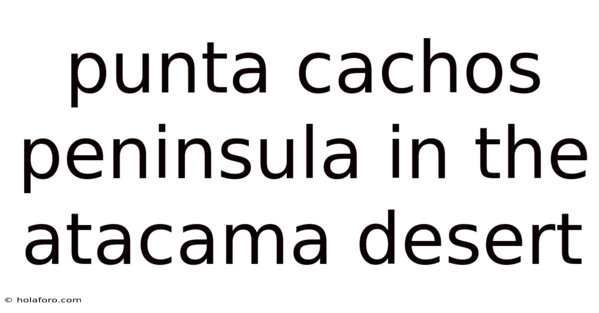 Punta Cachos Peninsula In The Atacama Desert