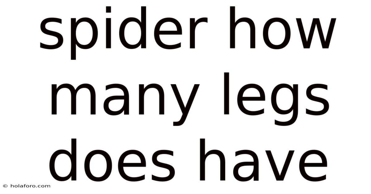 Spider How Many Legs Does Have