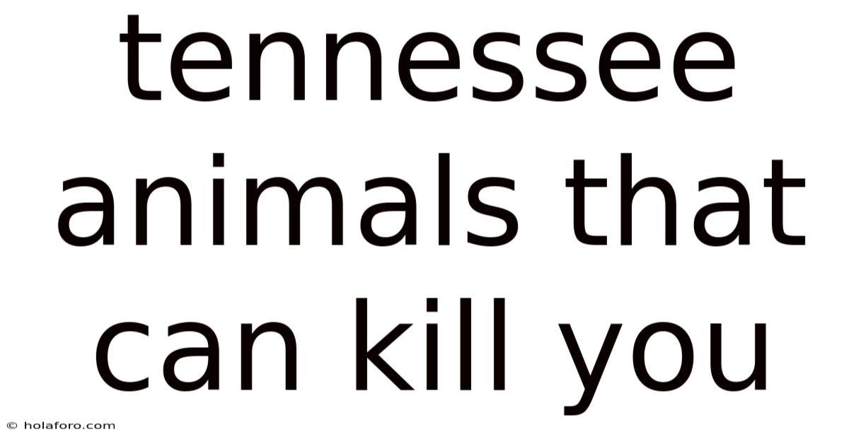 Tennessee Animals That Can Kill You
