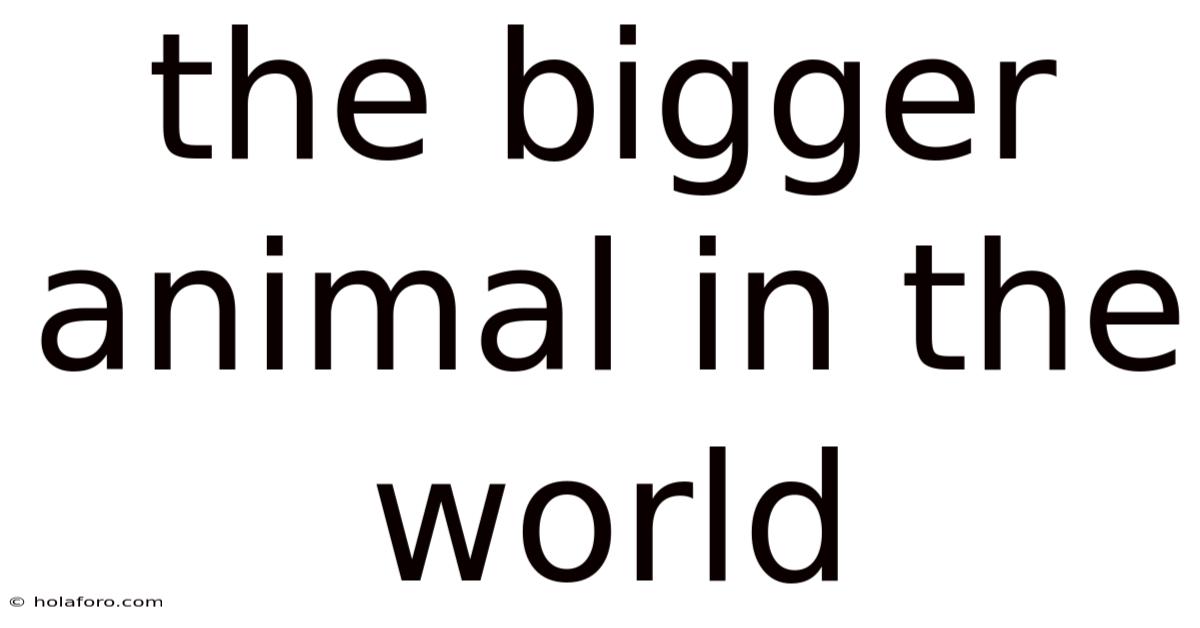 The Bigger Animal In The World