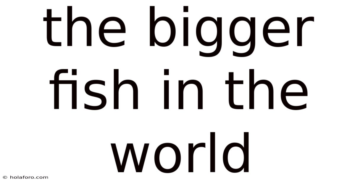 The Bigger Fish In The World