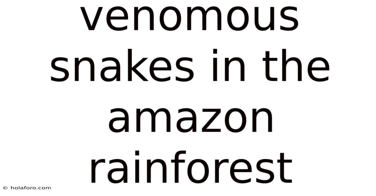 Venomous Snakes In The Amazon Rainforest