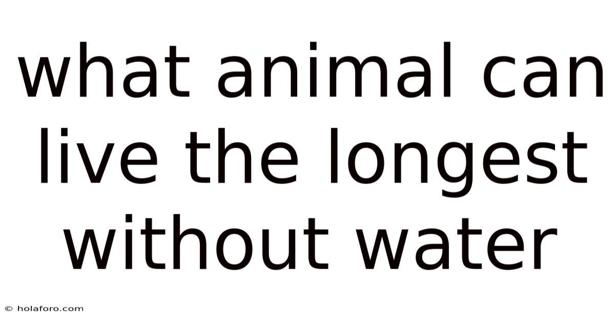 What Animal Can Live The Longest Without Water