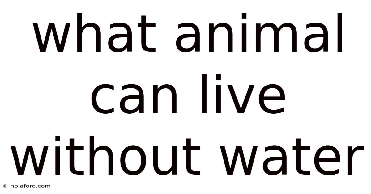 What Animal Can Live Without Water