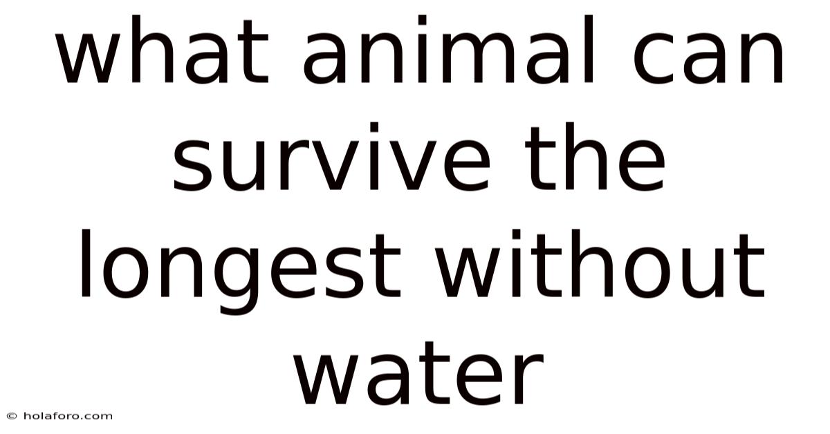 What Animal Can Survive The Longest Without Water