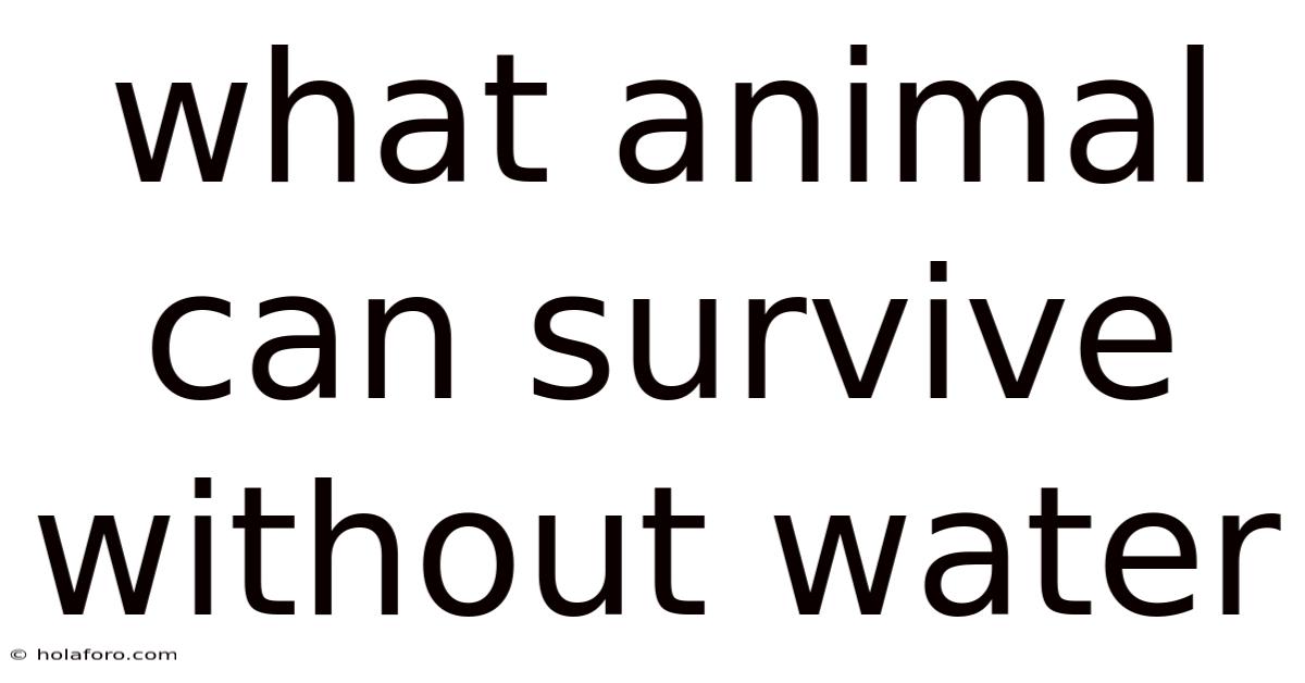 What Animal Can Survive Without Water