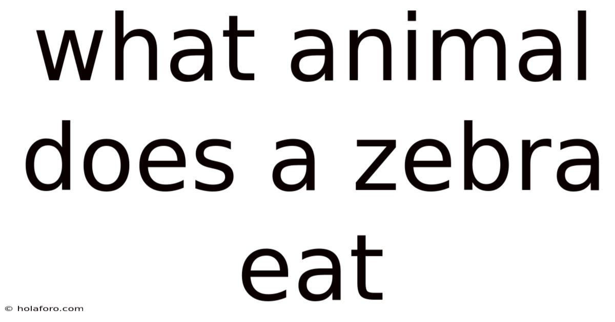 What Animal Does A Zebra Eat