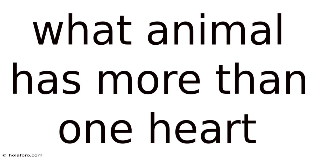 What Animal Has More Than One Heart