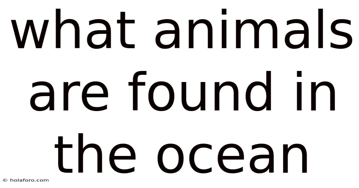 What Animals Are Found In The Ocean