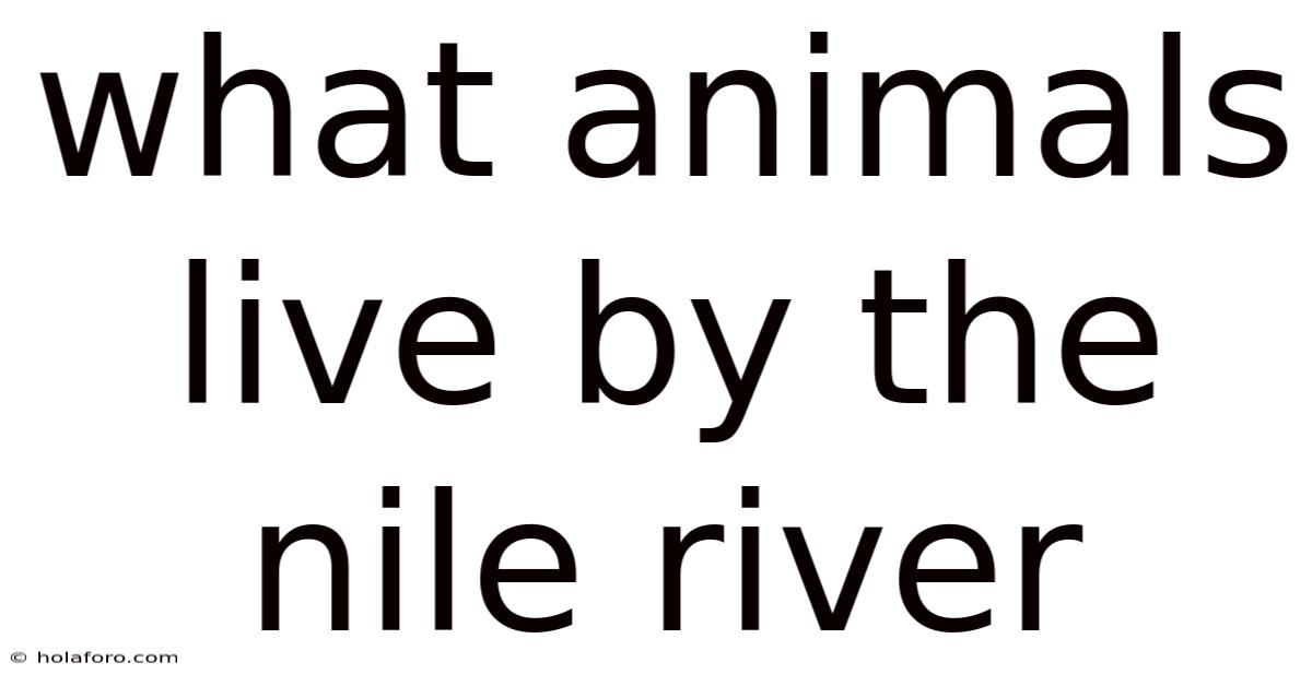 What Animals Live By The Nile River