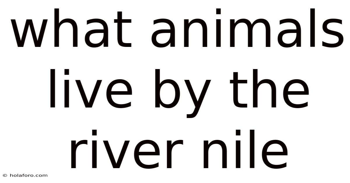 What Animals Live By The River Nile