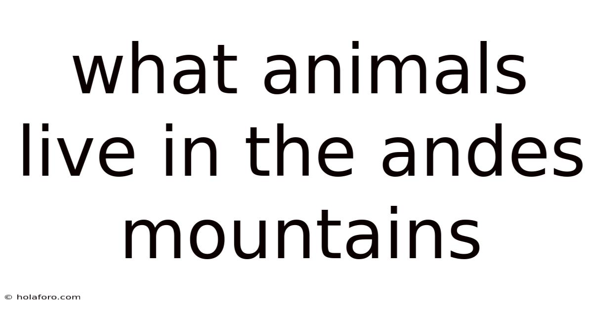What Animals Live In The Andes Mountains