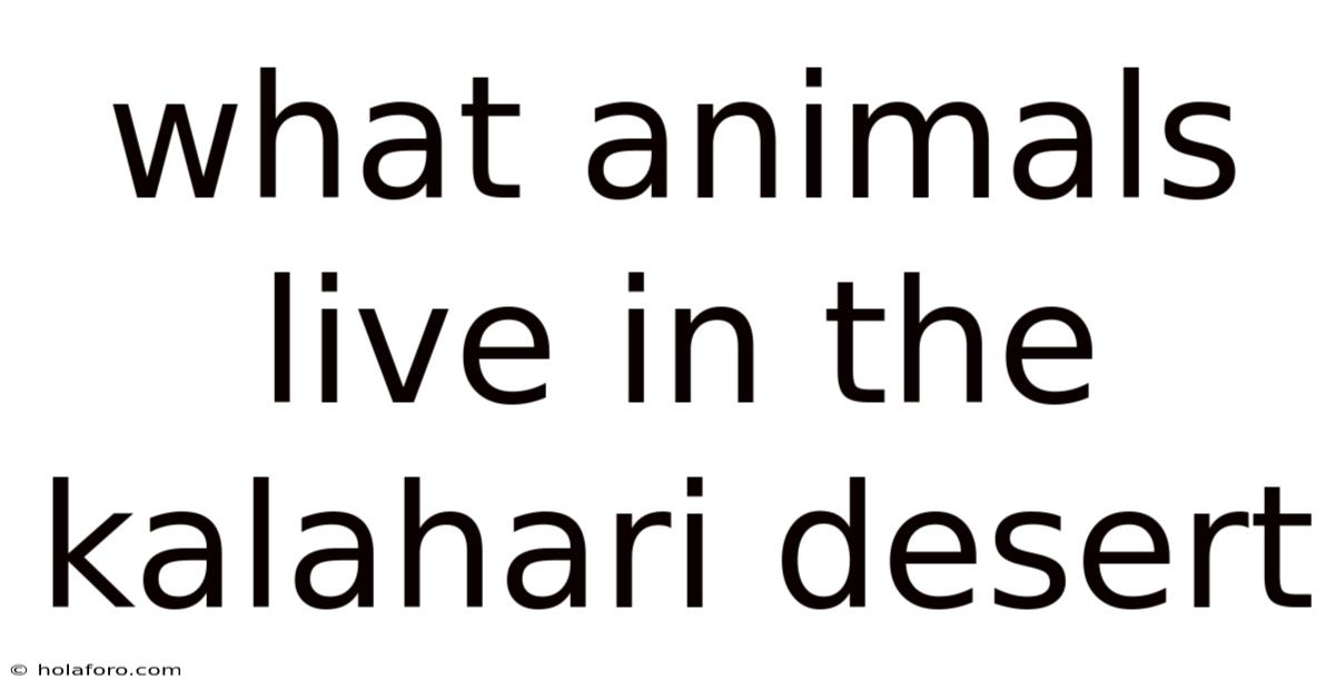 What Animals Live In The Kalahari Desert