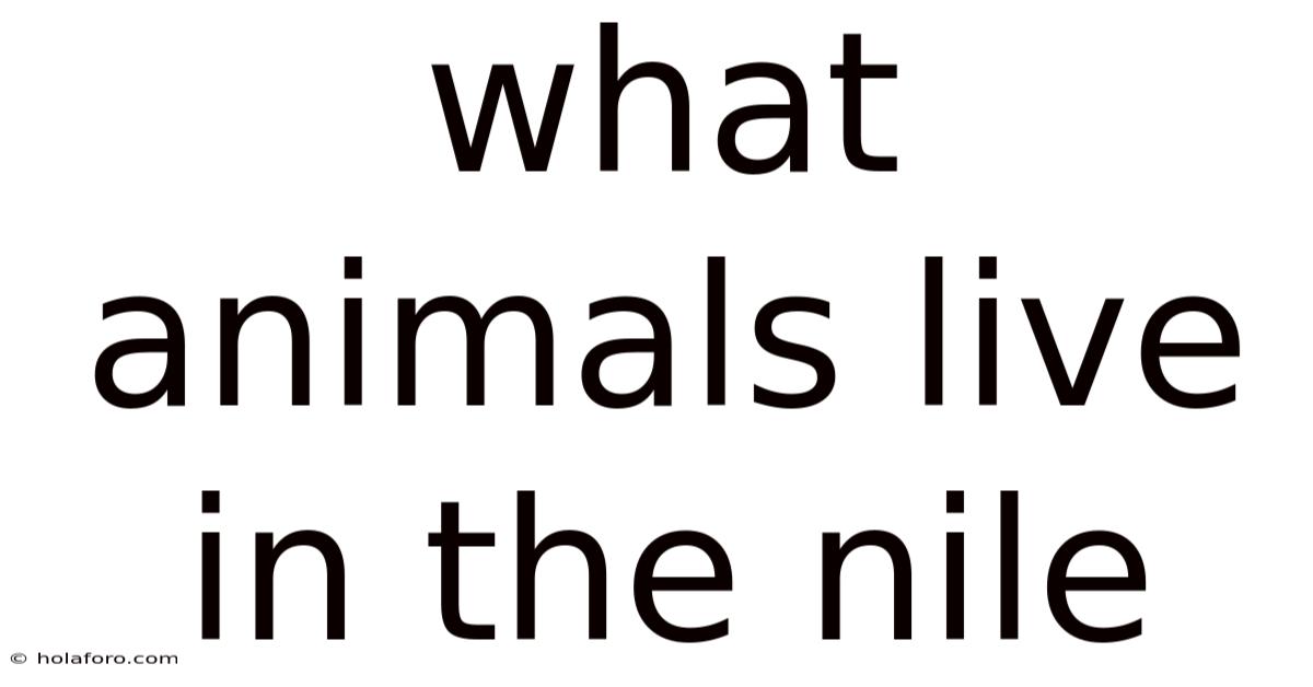 What Animals Live In The Nile