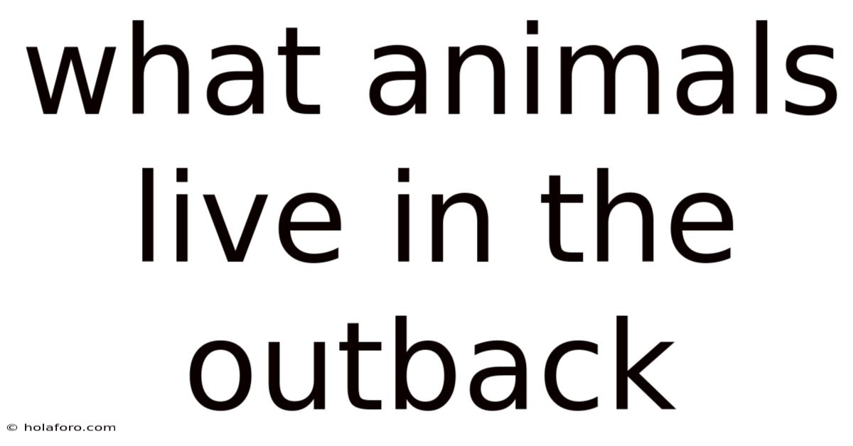 What Animals Live In The Outback