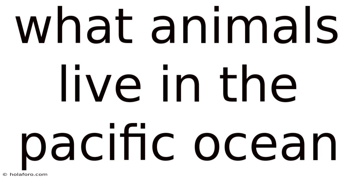 What Animals Live In The Pacific Ocean