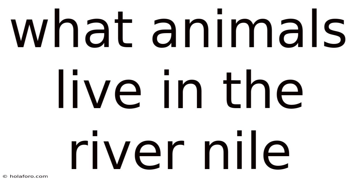 What Animals Live In The River Nile