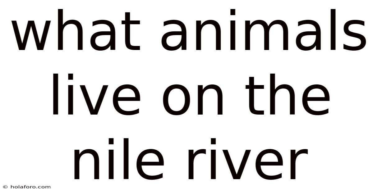 What Animals Live On The Nile River