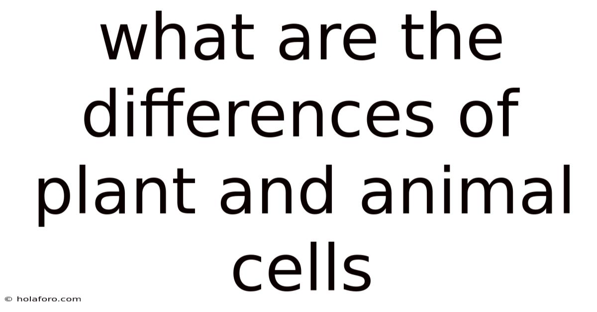 What Are The Differences Of Plant And Animal Cells
