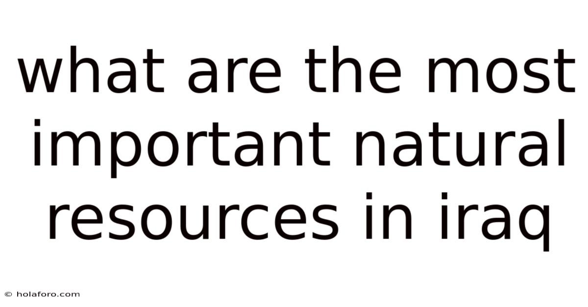 What Are The Most Important Natural Resources In Iraq