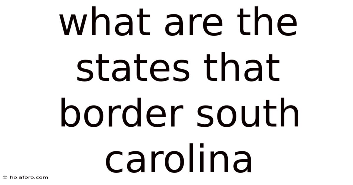 What Are The States That Border South Carolina