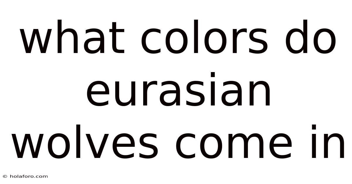 What Colors Do Eurasian Wolves Come In