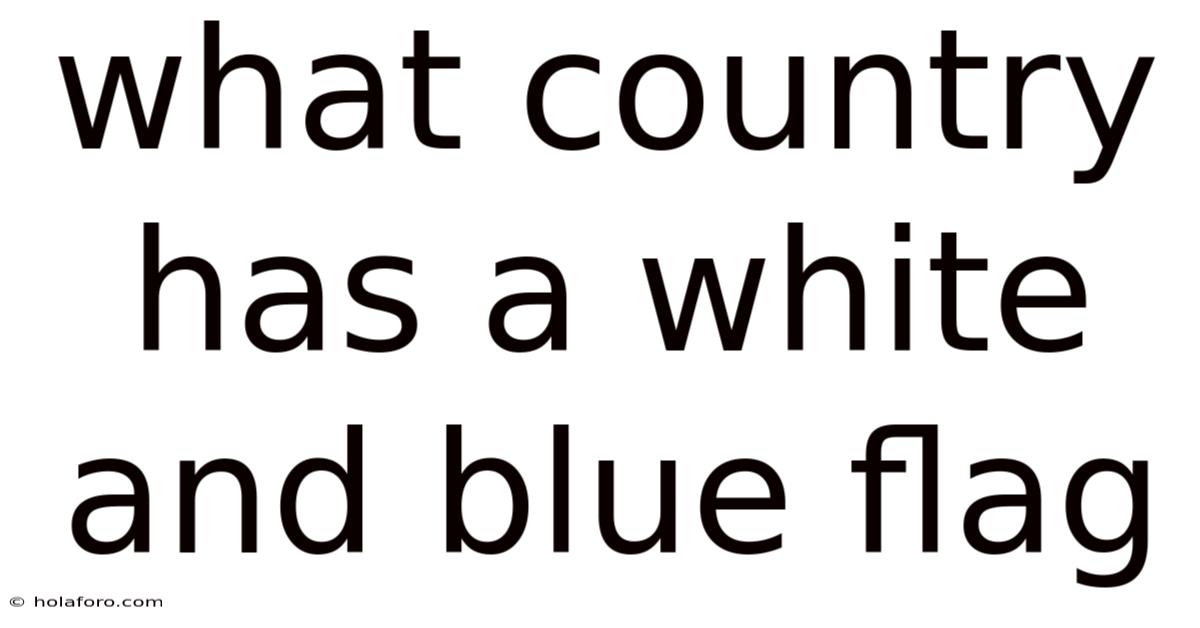 What Country Has A White And Blue Flag