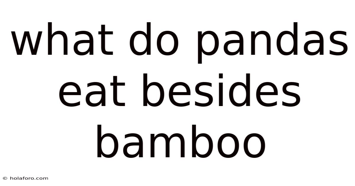 What Do Pandas Eat Besides Bamboo