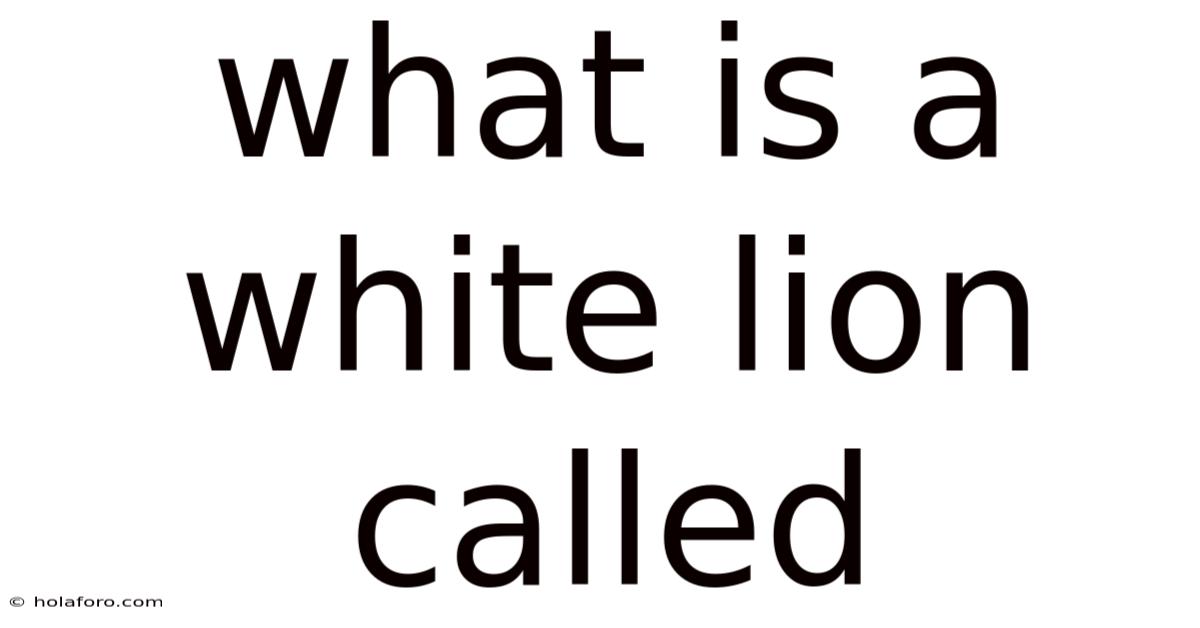 What Is A White Lion Called