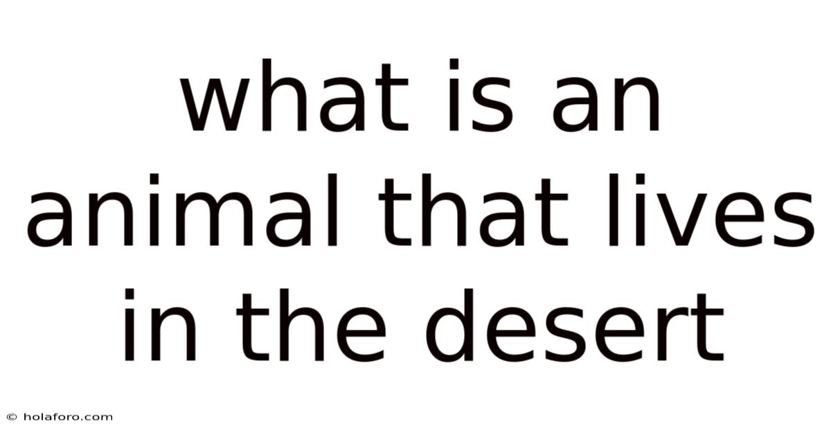 What Is An Animal That Lives In The Desert
