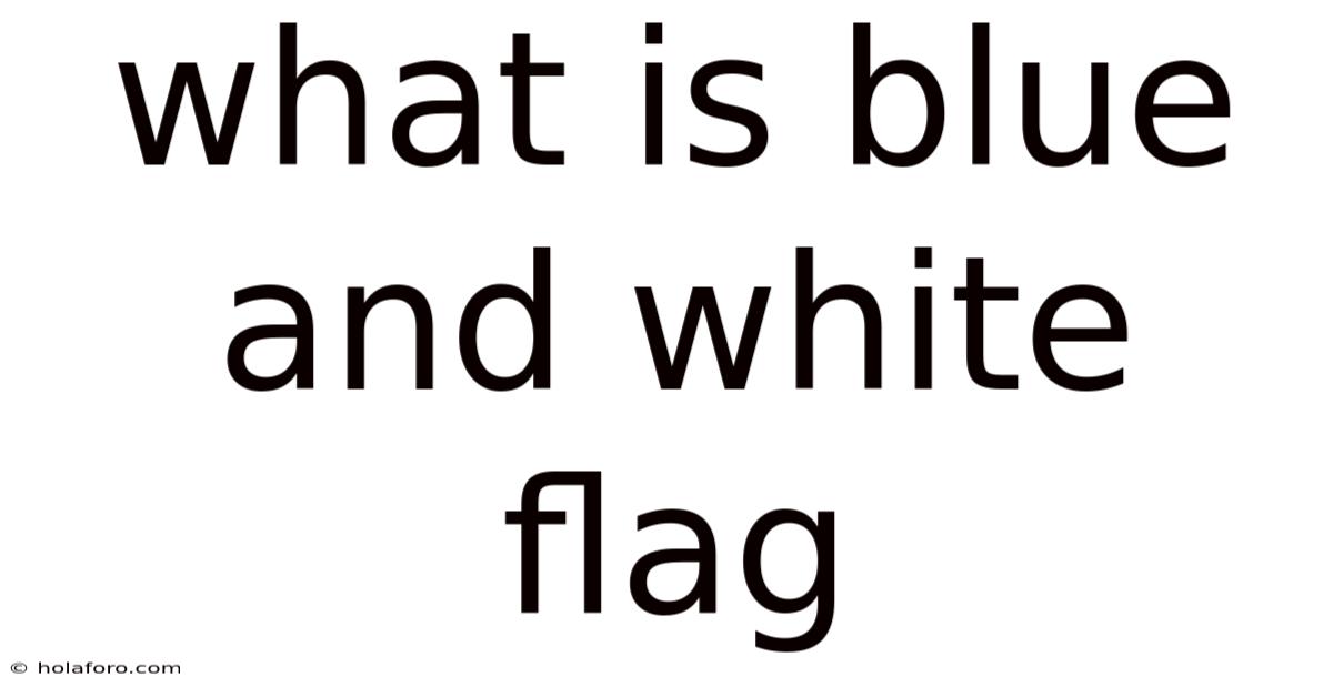 What Is Blue And White Flag