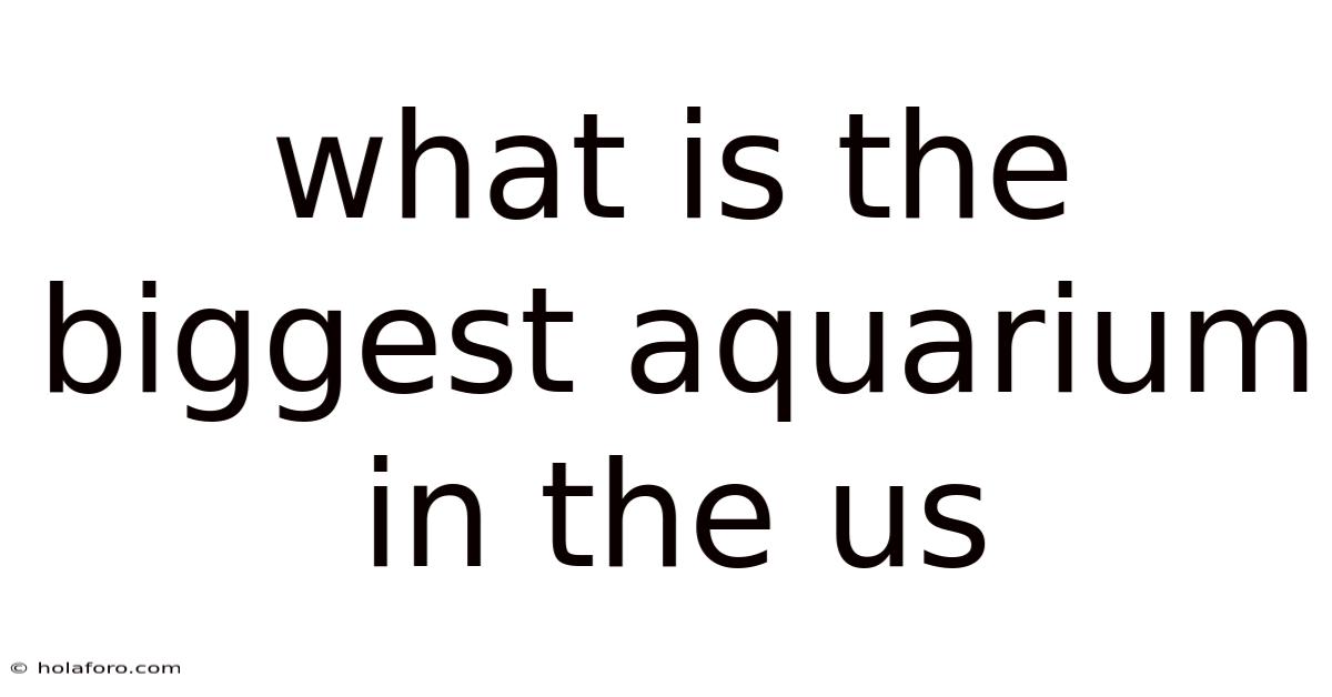 What Is The Biggest Aquarium In The Us