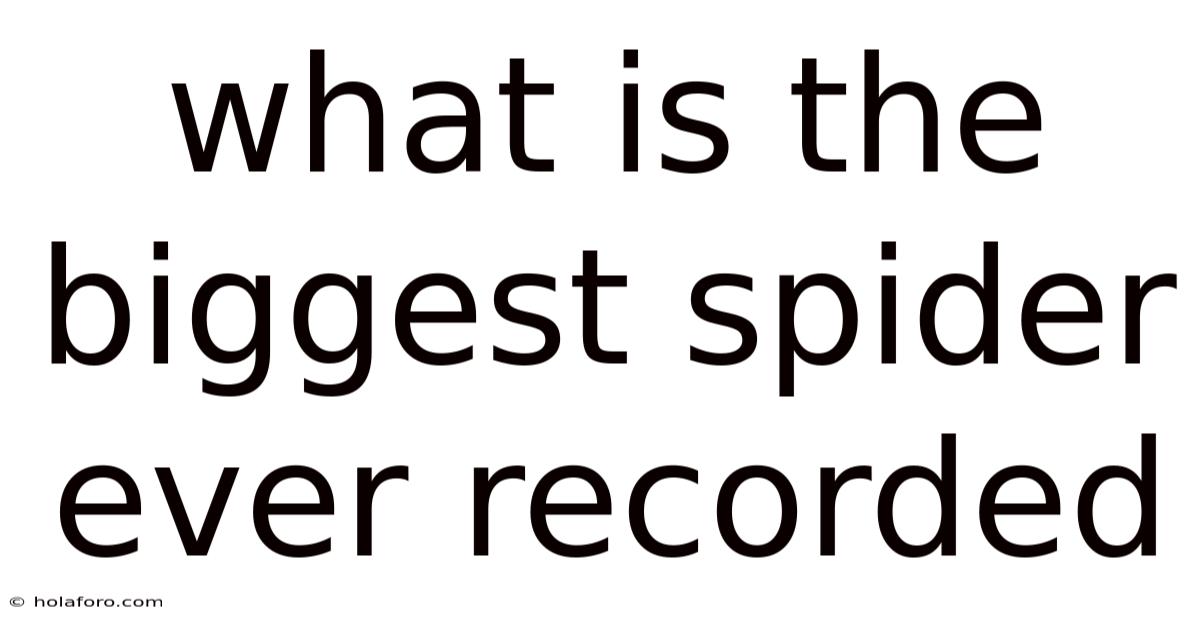 What Is The Biggest Spider Ever Recorded