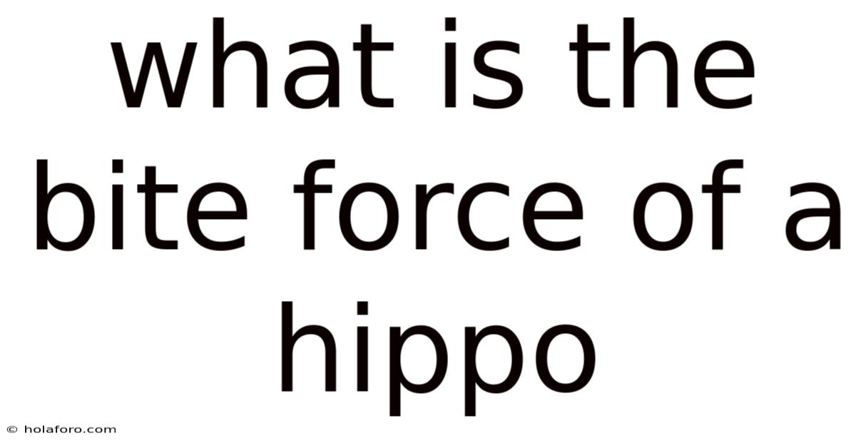 What Is The Bite Force Of A Hippo