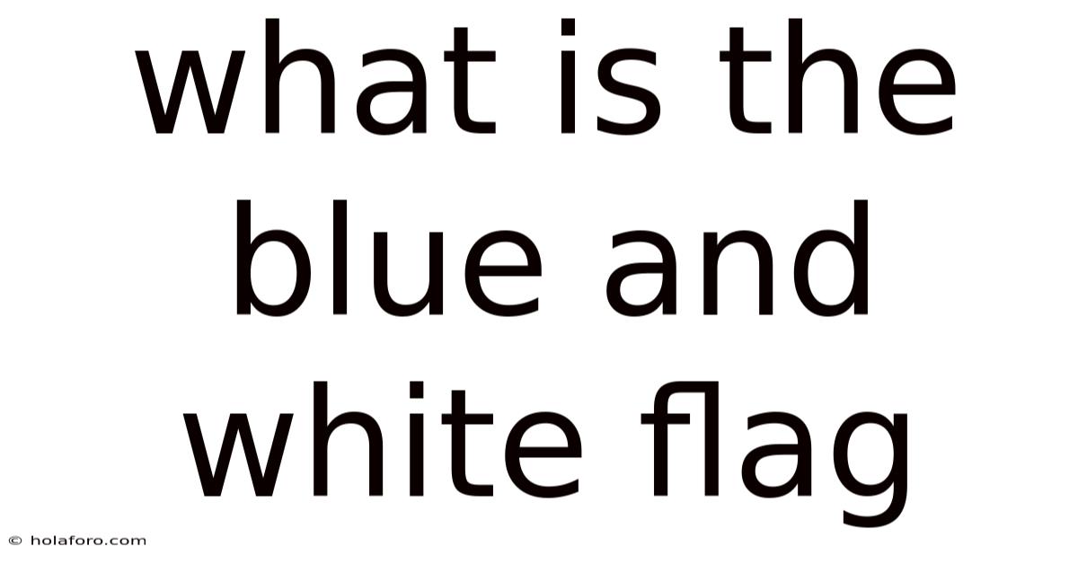 What Is The Blue And White Flag