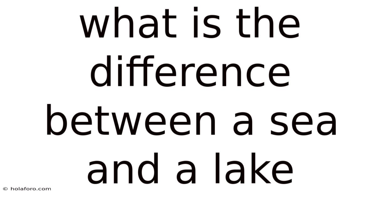 What Is The Difference Between A Sea And A Lake