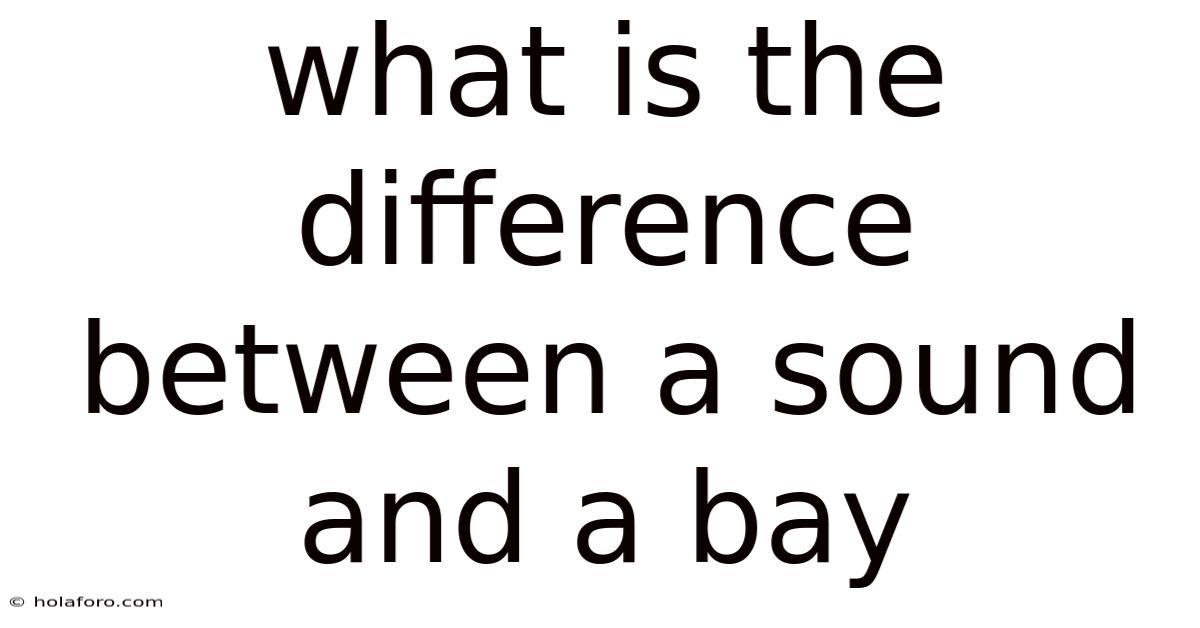 What Is The Difference Between A Sound And A Bay