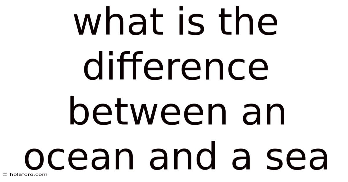 What Is The Difference Between An Ocean And A Sea