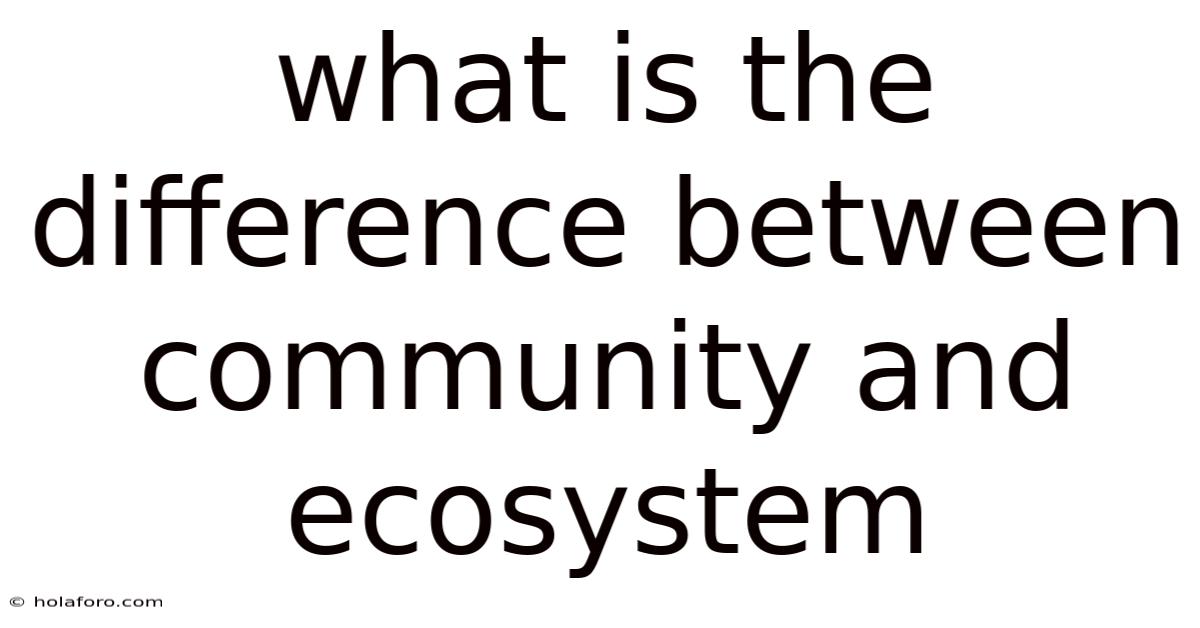 What Is The Difference Between Community And Ecosystem
