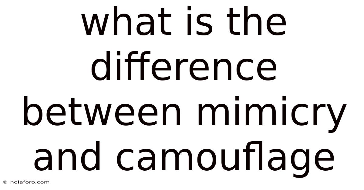 What Is The Difference Between Mimicry And Camouflage