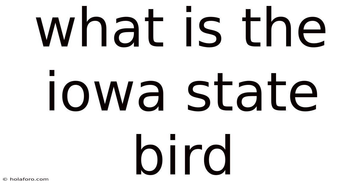 What Is The Iowa State Bird