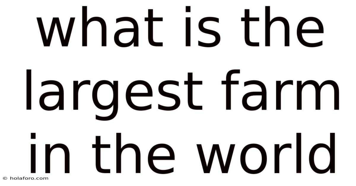 What Is The Largest Farm In The World