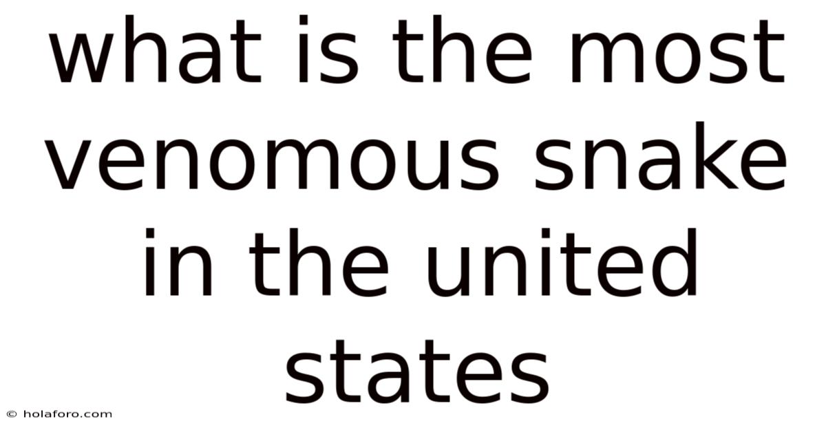 What Is The Most Venomous Snake In The United States