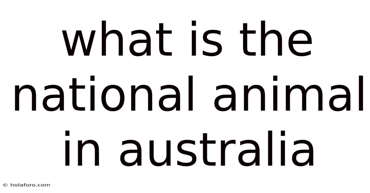 What Is The National Animal In Australia