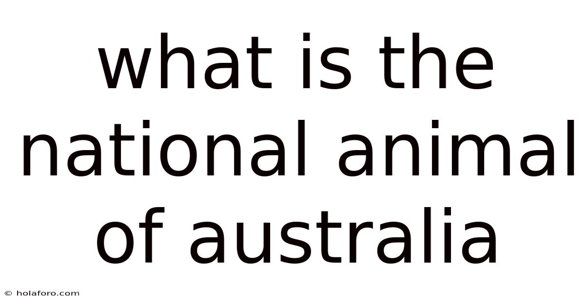 What Is The National Animal Of Australia