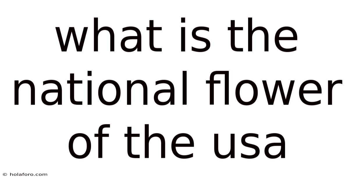 What Is The National Flower Of The Usa