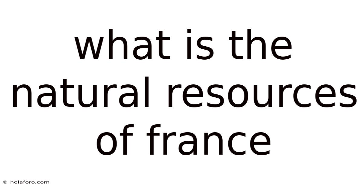 What Is The Natural Resources Of France