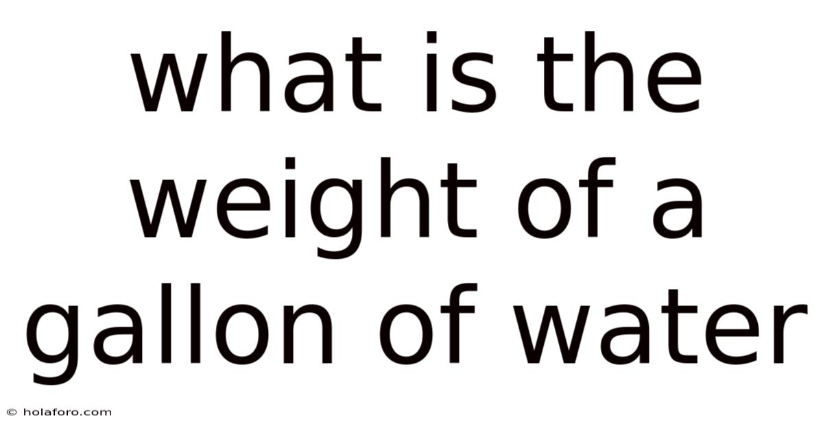 What Is The Weight Of A Gallon Of Water