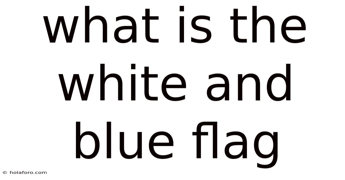 What Is The White And Blue Flag